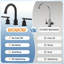Mounting / Installation Required 2-handle Bathroom Faucet with Drain Assembly-61572300