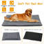 Lit pour animaux Eveleen-1535897617