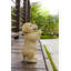 Chiot labrador jaune priant