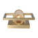 Marco 1-Light Wall Sconce in Brushed Champagne Bronze with Clear Glass