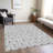  Maliana Area Rug-528099983