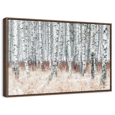 Hiver, forêt de bouleaux