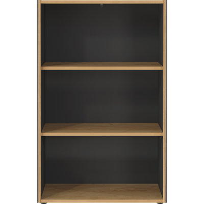 Astella 119.2cm H x 75cm W Standard Bookcase
