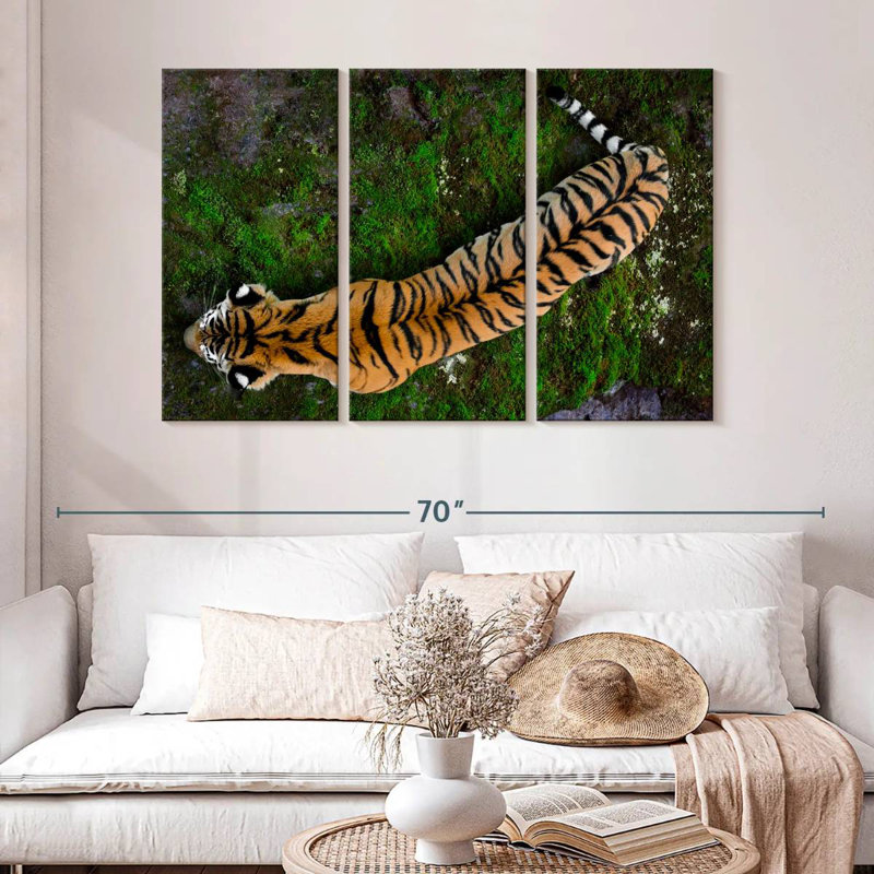 Brampt Tiger From Above, 32" H x 50" W