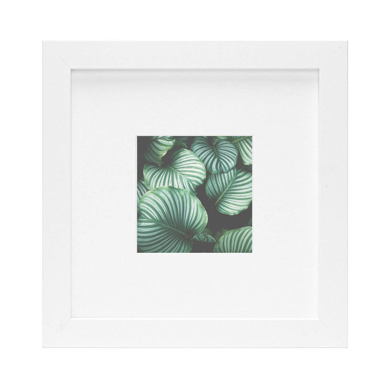 Cadre photo Kempson, 8 po x 8 po, Blanc