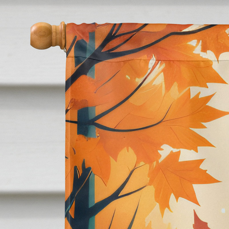 Drapeau de maison en polyester à double face H 40 po x l 28 po