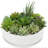 Aniecia Indoor Ceramic Flower Pot Planter