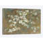 Dogwood In Spring by All That Glitters - Wrapped Canvas Print-33003977