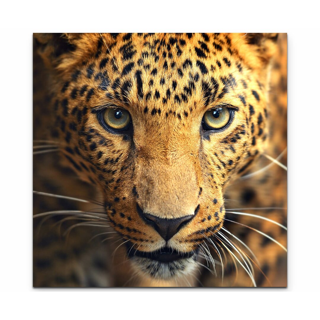 Leinwandbild Aufmerksamer Leopard – Portrait