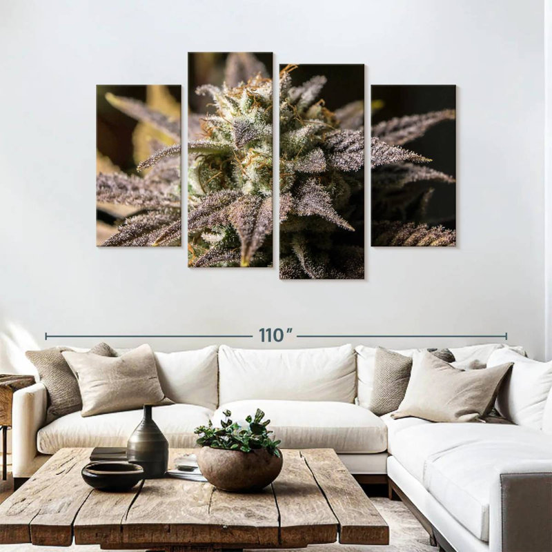 Marijuana en hiver, H 54 po x l 84 po