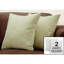 Coussins, ensemble de 2, 18 x 18 carrés, insert inclus, jet décoratif, accent, canapé, canapé, chambre à coucher, polyester hypoallergénique vert, moderne-126148943