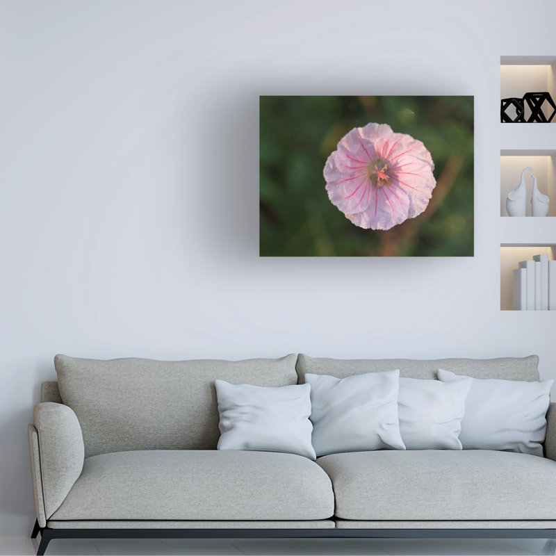 «Geranium Sanguineum» par Suzanne Bonin - photographie sur toile tendue, H 35 po x l 47 po x P 2 po