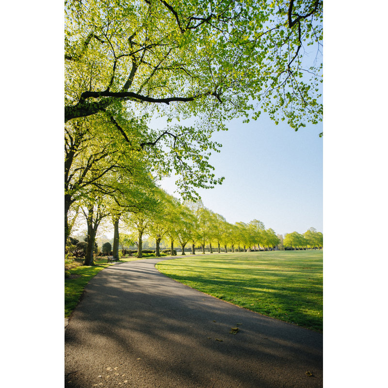 Uk Park at Sunrise by Ristoarnaudov, 12" H x 8" W