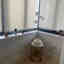 Customer photo 1 of 3