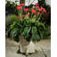 Weather Resistant Planter Feet