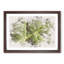 Paths of the Leaf - Framed Print-56851772-56851774