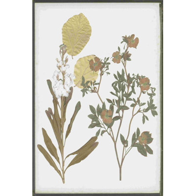 Fleurs pressées à livre I