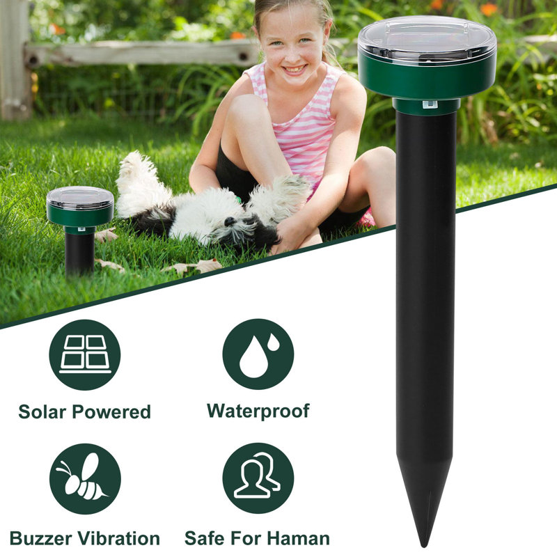 10.04'' Solar Powered Outdoor Lantern