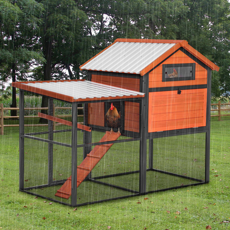 Poulailler en bois et en fer durable avec piste et toit imperméable, convient pour 5 à 7 poulets, nichoir intégré, Jaune