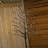 Micro Dot Lighted Trees and Branches-63383342-63383343