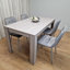 Mirsada 4 - Person Dining Set-1439844735
