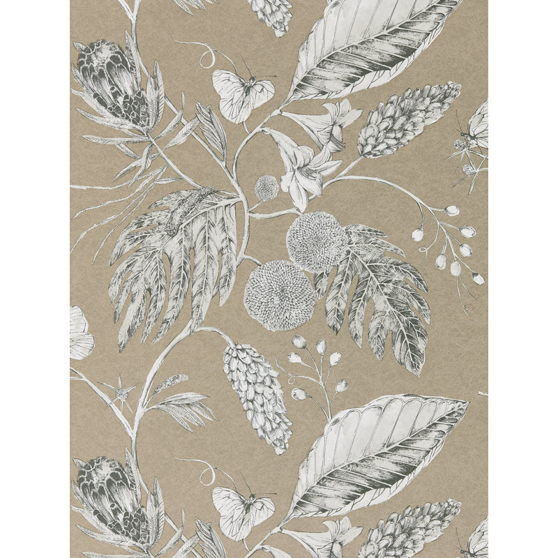 Amborella Wallpaper, Pebble
