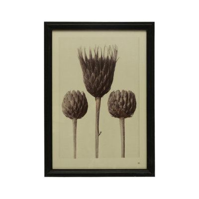 " Artichoke "