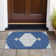 Machine Washable Indoor/Outdoor Chayden ACN1011 Rug