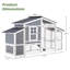 Grand poulailler 81 po 