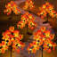 Ensemble de 2 lumières solaires à piquet à feuilles d'automne, 40 lumières DEL en érable pour l'extérieur avec 8 modes d'éclairage
