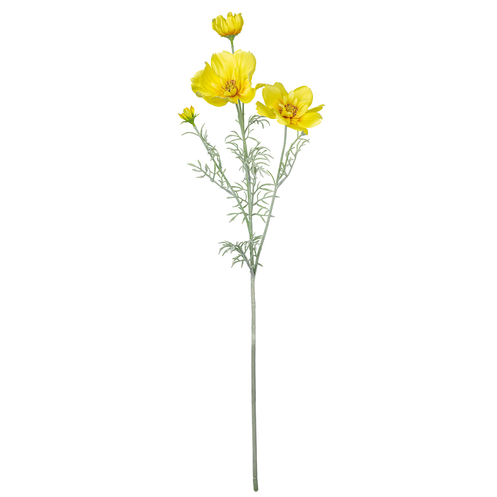 Audet Cornflower Stems, Yellow, 30.7" x 9.8"