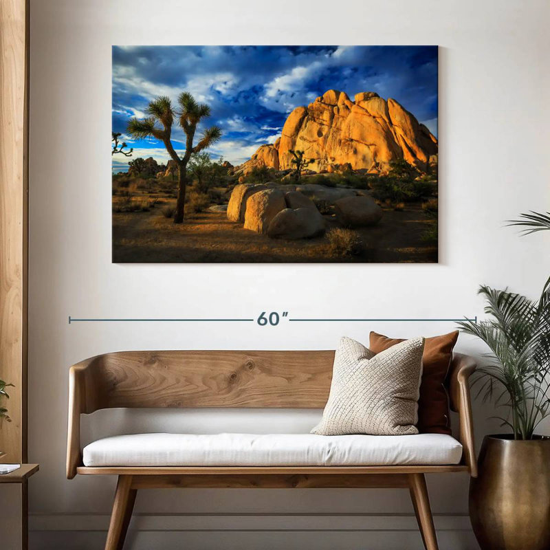 Nicci Joshua Tree Park Old Woman Rock, H 32 po x l 48 po