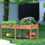 Raised Garden Bed-1159549633
