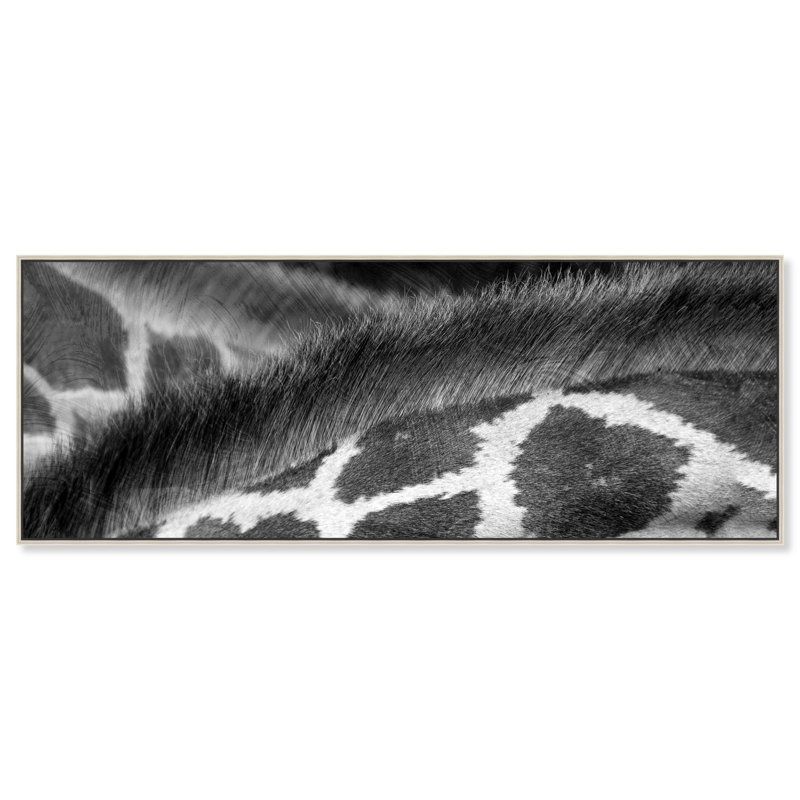 Girafe sur toile, H 21 po x l 55 po, Encadrement argenté