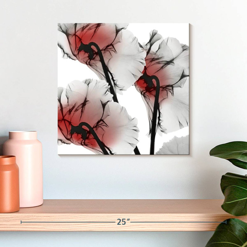 Cyclamen lustré Harnek Crimson, H 16 po x l 16 po