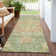 Machine Washable Indoor/Outdoor Claudian ACN1236 Aloe Rug