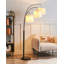 Catello 178 H cm Powder Coated Arched Floor Lamp