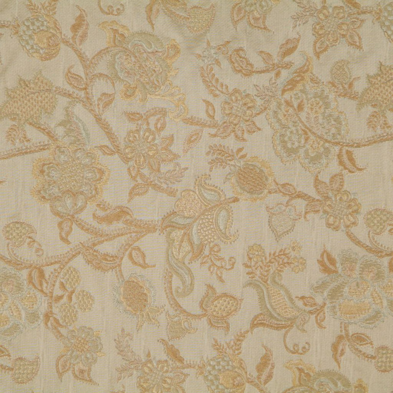 Tissu de graines de carvi