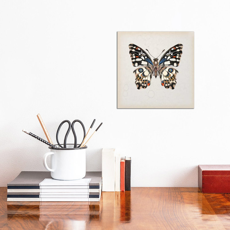 Butterfly Study II by Melissa Wang - Wrapped Canvas Painting, 30.48cm H x 30.48cm W x 1.91cm D