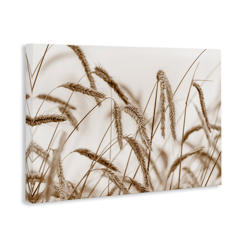 «Windswept Wheat Sprig», art mural sur toile par Nancy Crowell, H 30 po x l 45 po