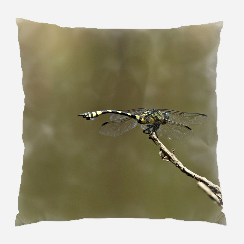 Coussin gros plan Meleri, Microsuède, Intérieur