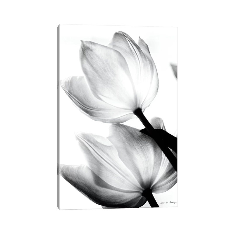 Translucent Tulips II- Gallery-Wrapped Canvas Giclée