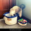 Panier en tissu pour chat-575314175