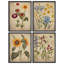 «Rustic Yellow Wildflowers Retra», reproduction d'art encadrée, affiches, salle de bain, petit art mural-104788686-104788690