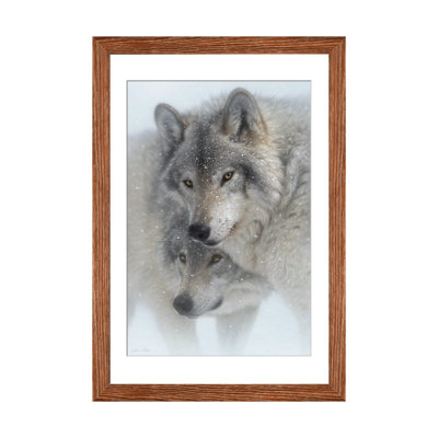 Wild Devotion - Gray Wolves