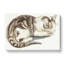 Cat by Johan Teyler - Wrapped Canvas Painting-55304139