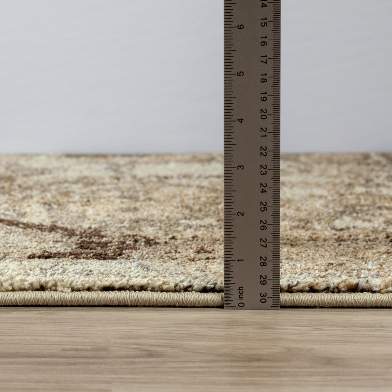 Kanorado Oriental Indoor Rug, Rectangle 7'10" x 10'7"