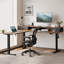 63" L Shaped Electric Standing Desk With 2 Drawers,Ergonomic Corner Height Adjustable Desk, Sit-Stand Computer Table with Storage for Home & Office-117523055-119335845