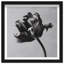 Tidal Wilt I Print by Oliver Gal-1575407135-1575407145