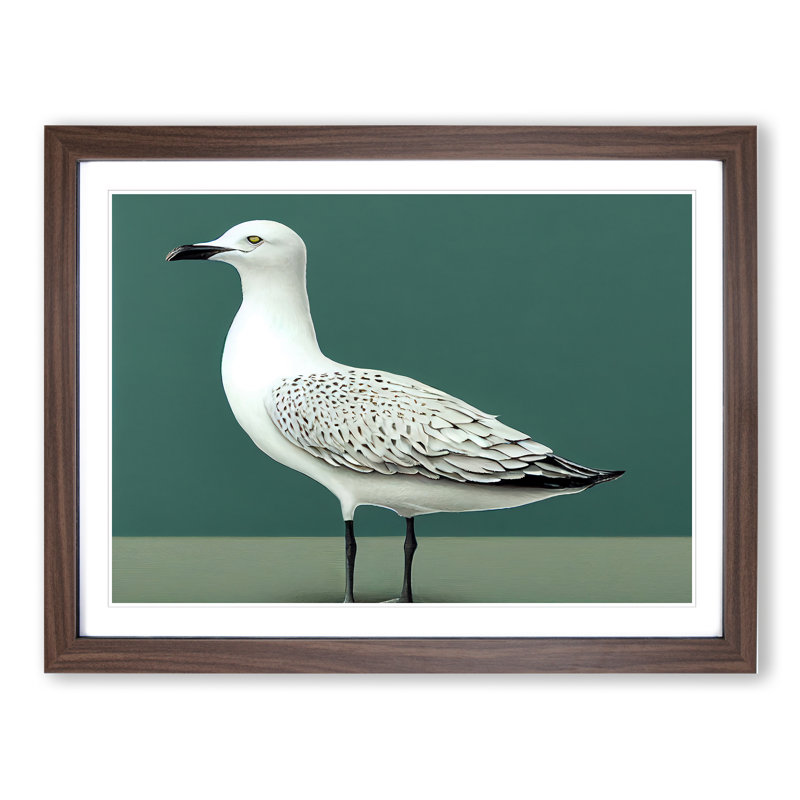 View Of A Seagull - Framed Print, 46cm H x 64cm W x 2cm D, Walnut